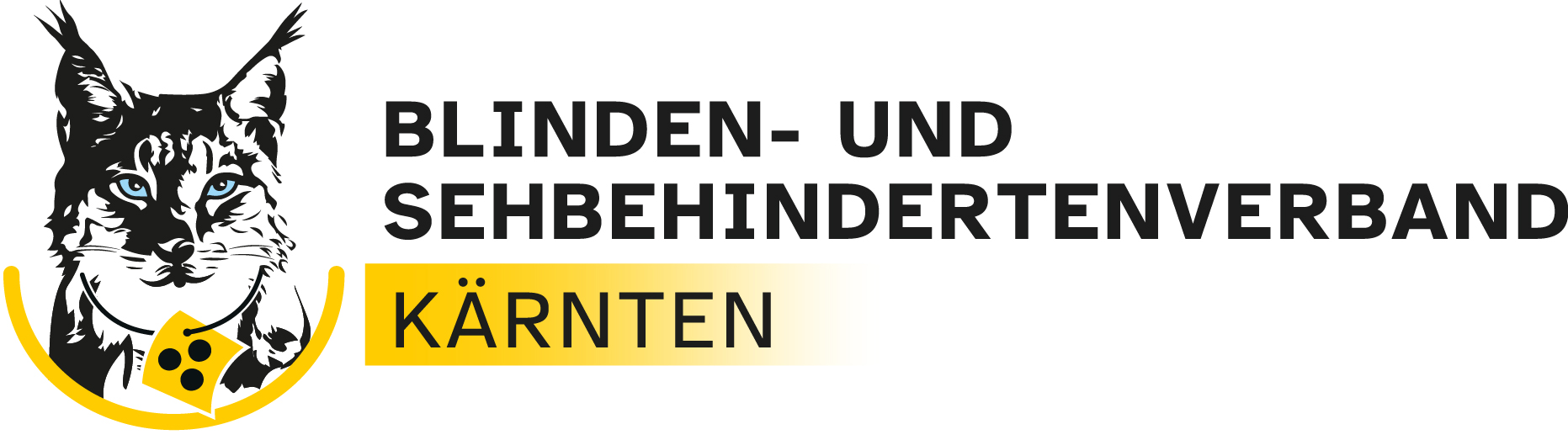 Blinden- und Sehbehindertenverband (BSVK)